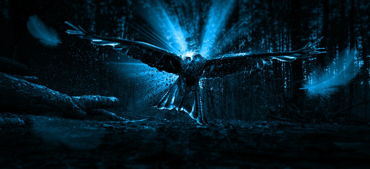 Hintergrund